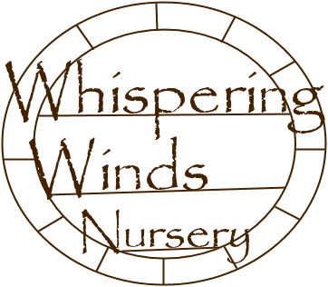 Whispering Winds Nursery